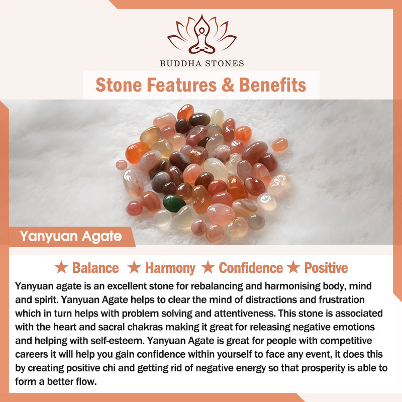 Wear FengShui Natural Yanyuan Agate Cat Claw Paw Positive Bracelet