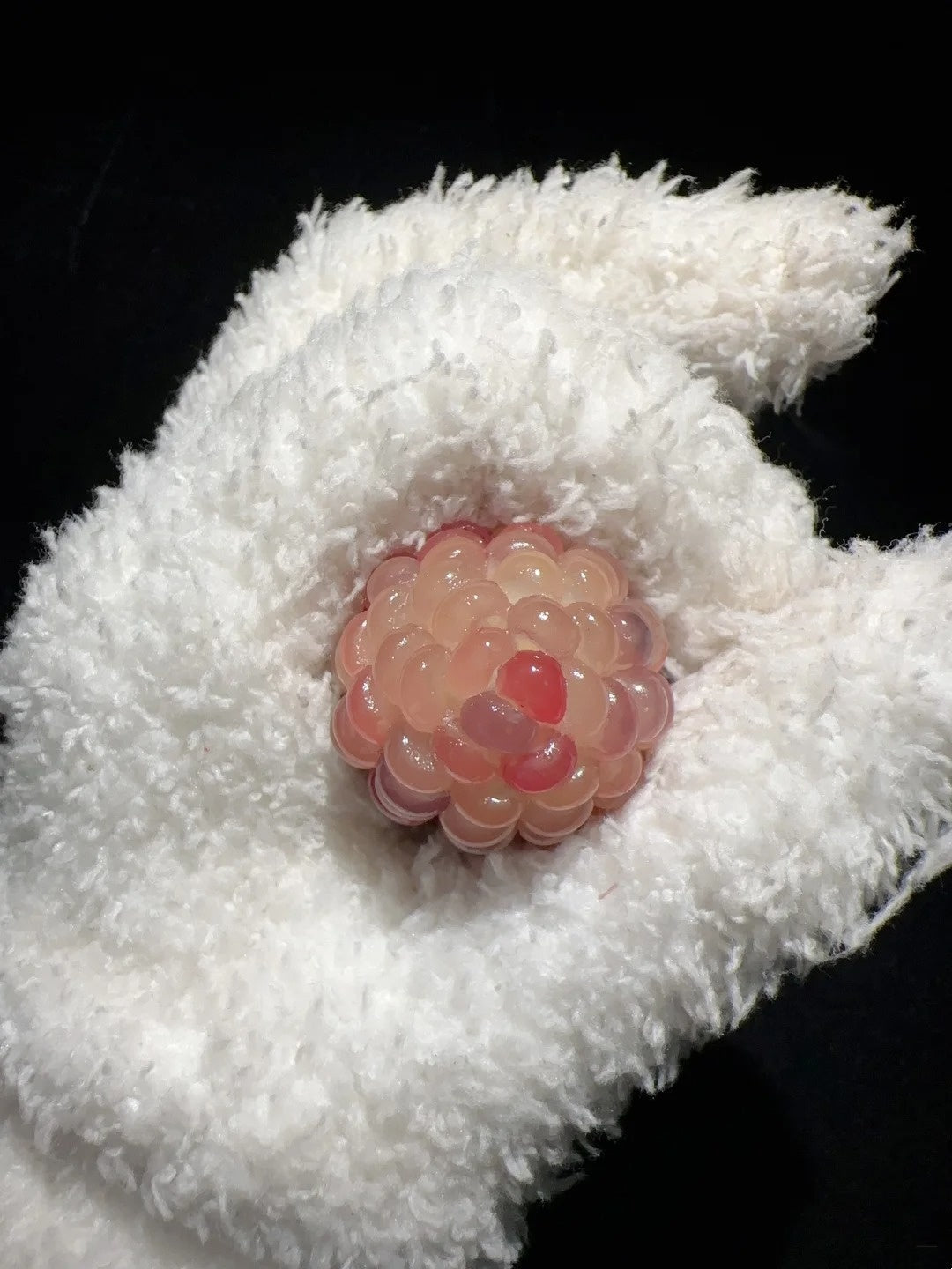 Jelly-Like Clear Natural Corn Charms for Fidgeting