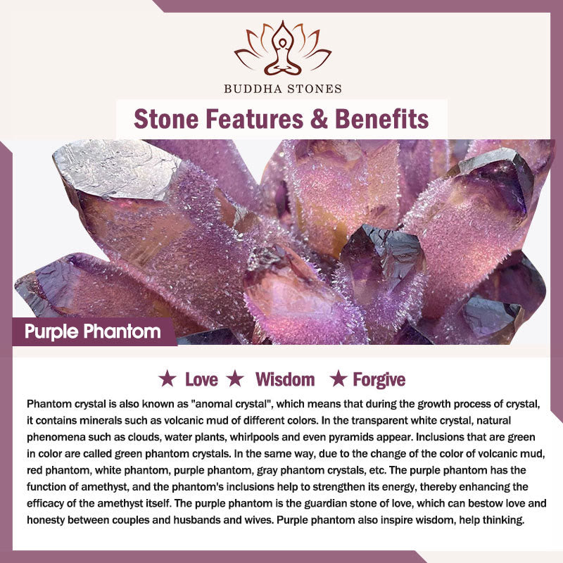 Wear FengShui Purple Phantom Purple Jade Scripture Citrine Love Wisdom Bracelet Bangle
