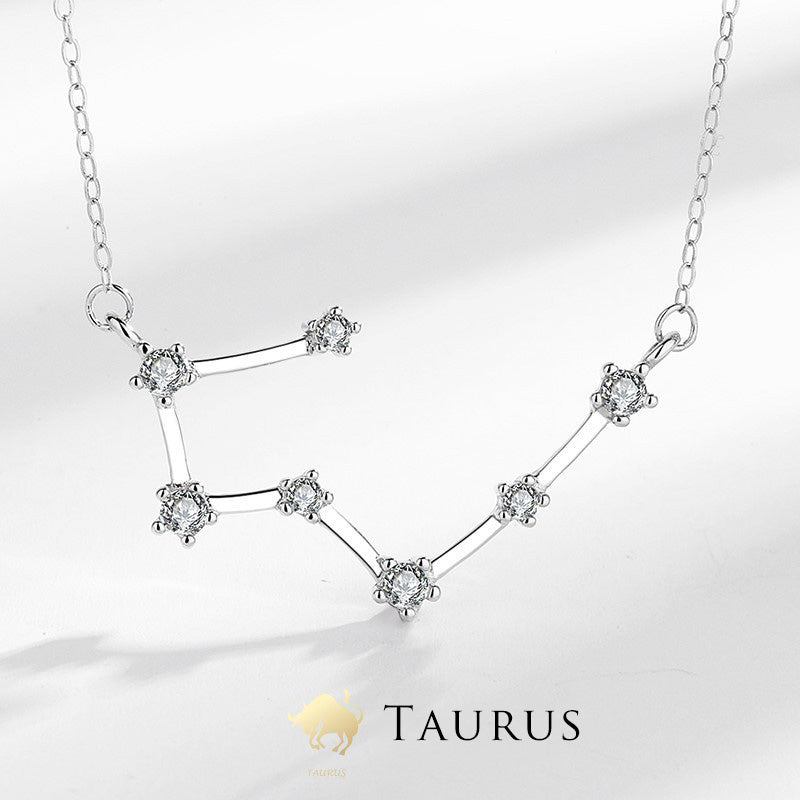 Wear FengShui 925 Sterling Silver 12 Constellations of the Zodiac Astrology Blessing Necklace Pendant