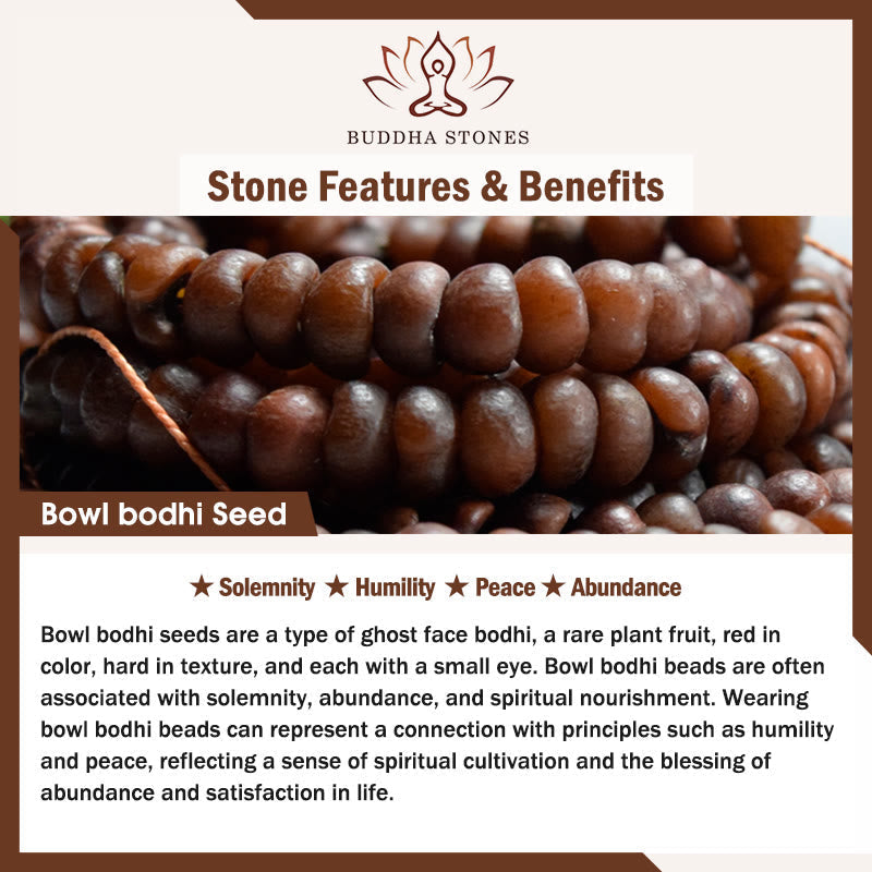 Wear FengShui 108 Mala Beads Bowl Bodhi Seed Colored Rope Peace Bracelet