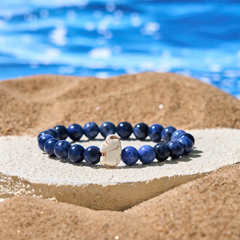 Wear FengShui Natural Various Stones Elephant Spiritual Strength Bracelet