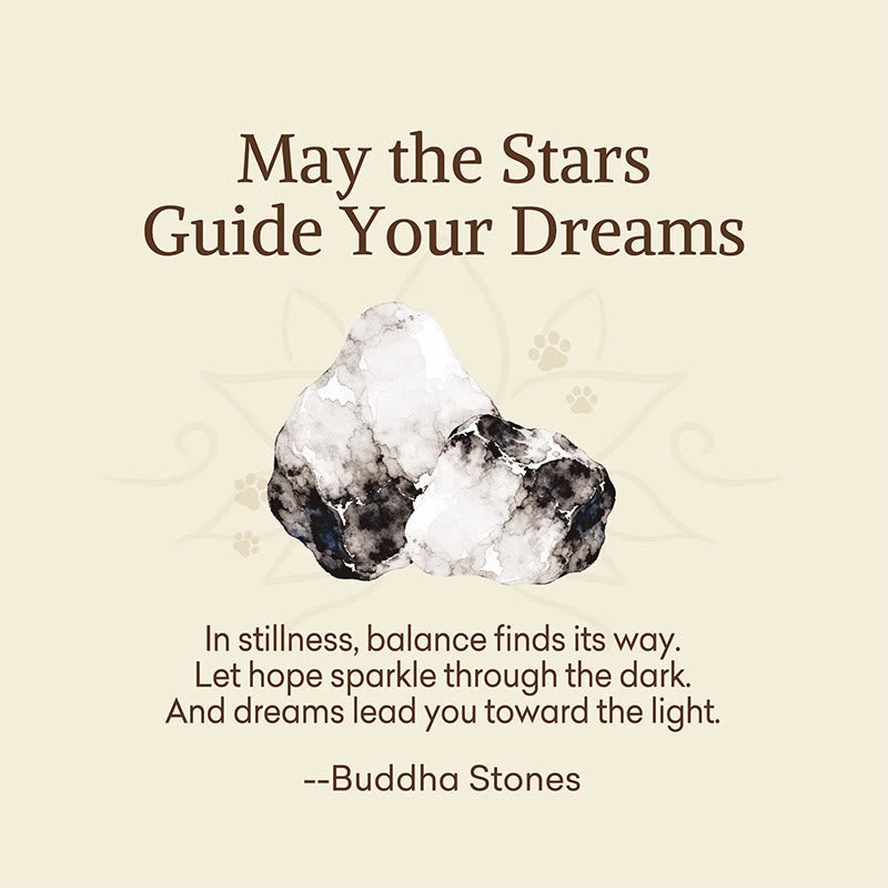 Wear FengShui "May the Stars Guide Your Dreams" Orca Agate Bracelet Includes Gift Message Card