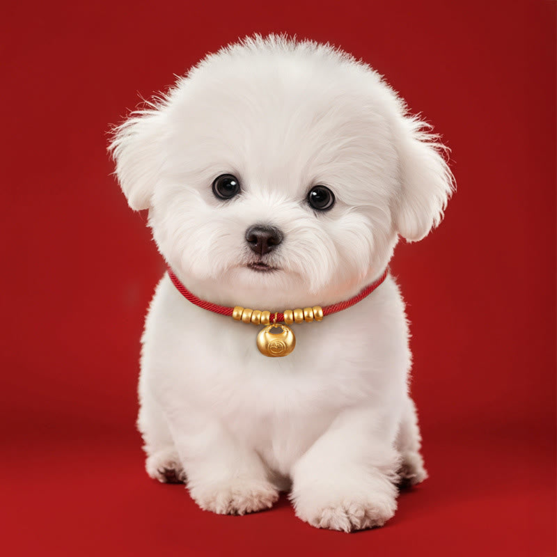 Wear FengShui Red String Bead Protection Adjustable Cats Small Dogs Pet Collar