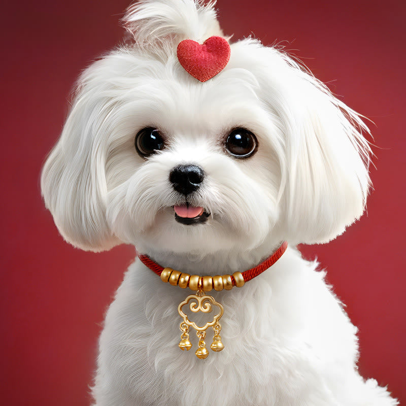 Wear FengShui Red String Bead Protection Adjustable Cats Small Dogs Pet Collar
