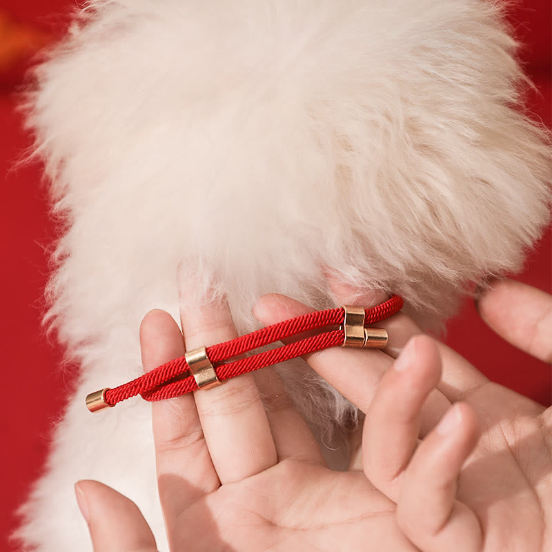 Wear FengShui Metal Pendant Red String Peace Joy Blessing Protection Adjustable Cats Small Dogs Pet Collar