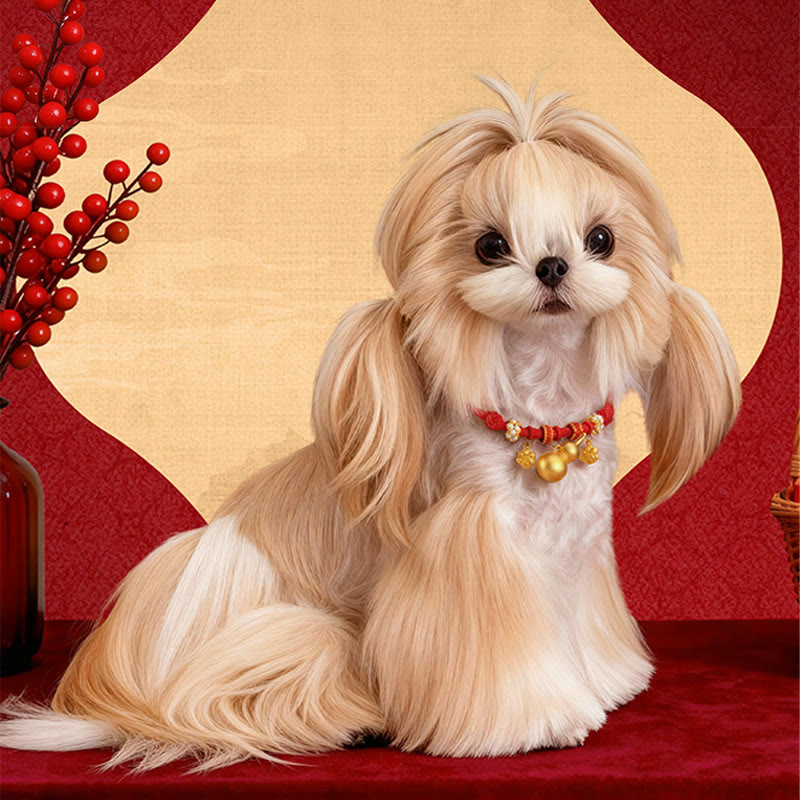 Wear FengShui Red String Bead Compass Gourd Protection Adjustable Cats Dogs Pet Collar