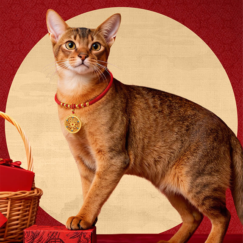Wear FengShui Red String Bead Compass Gourd Protection Adjustable Cats Dogs Pet Collar