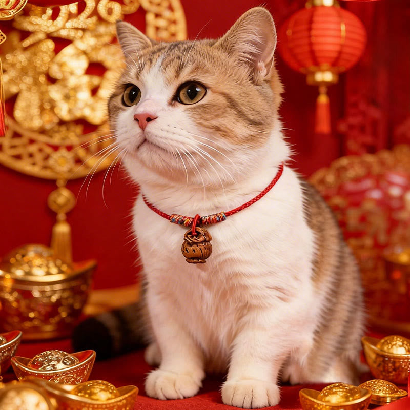 Wear FengShui Plaited Peach Pit Red String Strength Adjustable Cats Dogs Pet Collar