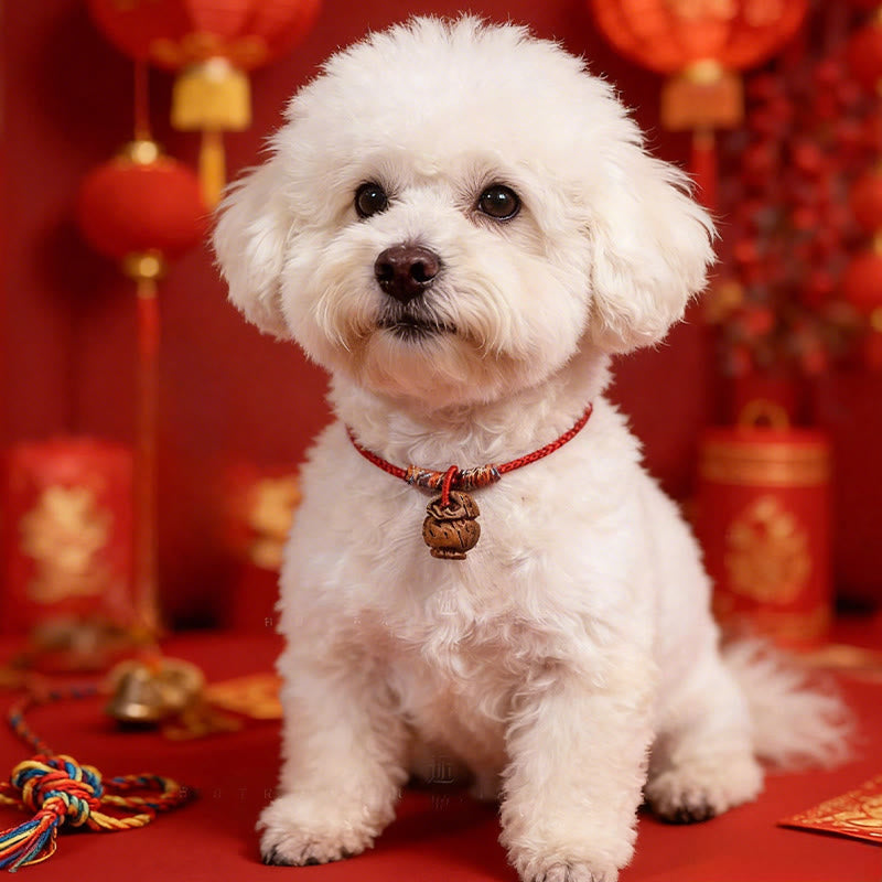 Wear FengShui Plaited Peach Pit Red String Strength Adjustable Cats Dogs Pet Collar