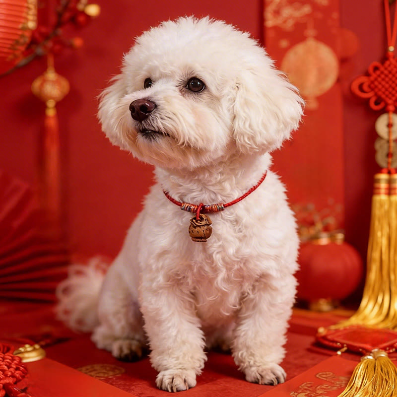 Wear FengShui Plaited Peach Pit Red String Strength Adjustable Cats Dogs Pet Collar