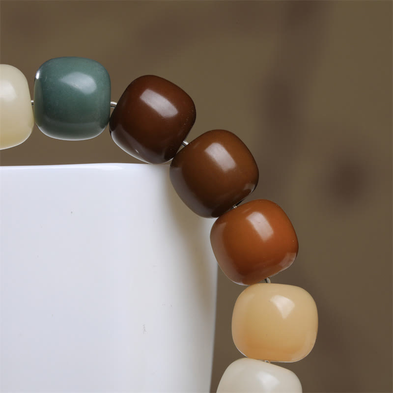 Wear FengShui Multicolored Bodhi Seed Keep Away Evil Spirits Bracelet