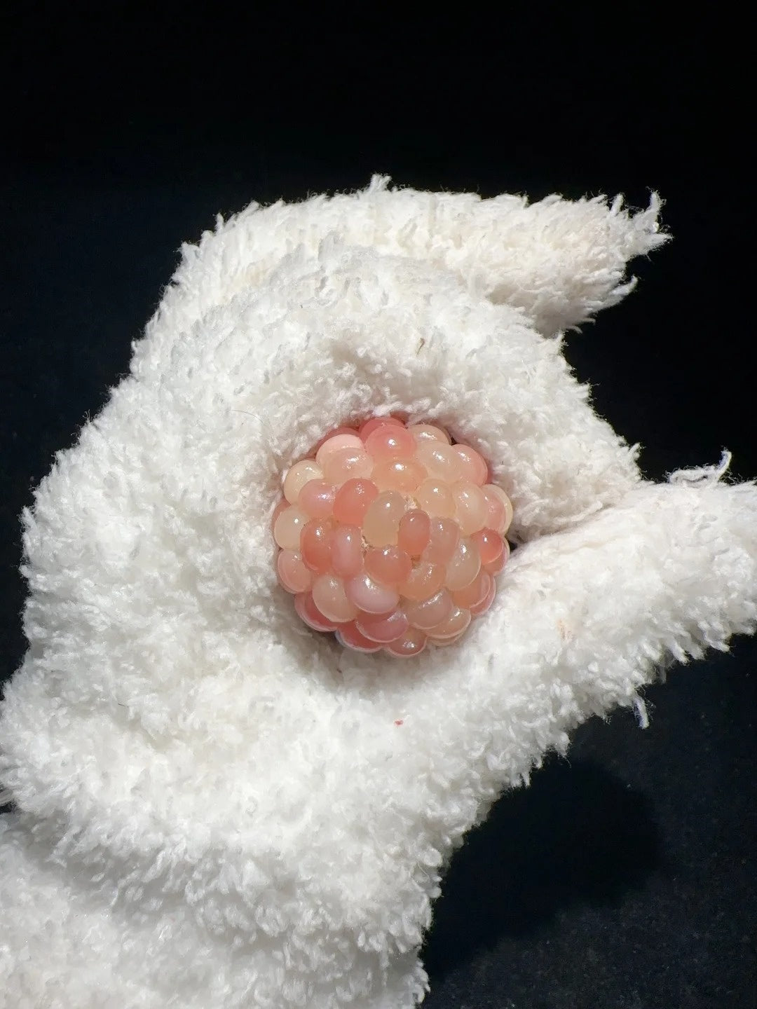 Blush Pink Chunky Corn Charms for Fidgeting