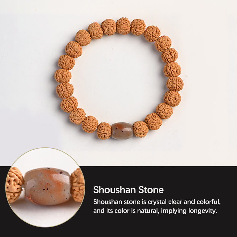 Wear FengShui Tibet Rudraksha Bodhi Seed Wealth Auspiciousness Bracelet