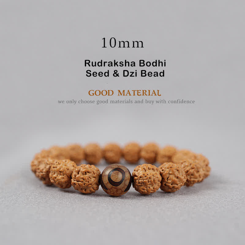 Wear FengShui Tibet Rudraksha Bodhi Seed Dzi Bead Amber Turquoise Wealth Bracelet
