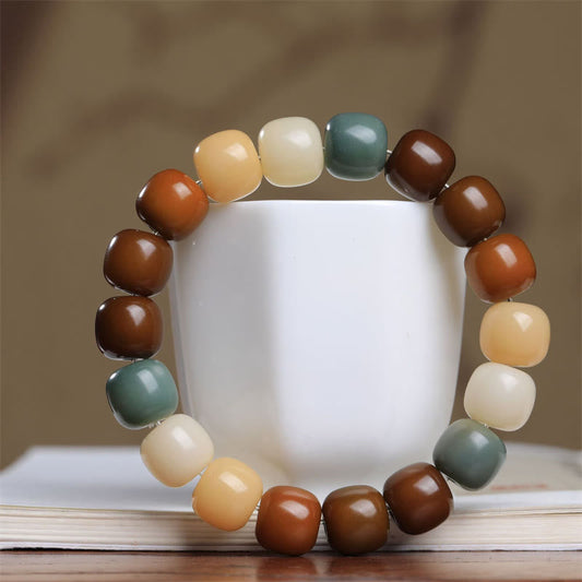 Wear FengShui Multicolored Bodhi Seed Keep Away Evil Spirits Bracelet
