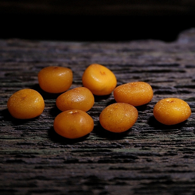 Wear FengShui 108 Mala Beads Tibet Sheep Horn Amber Luck Bracelet