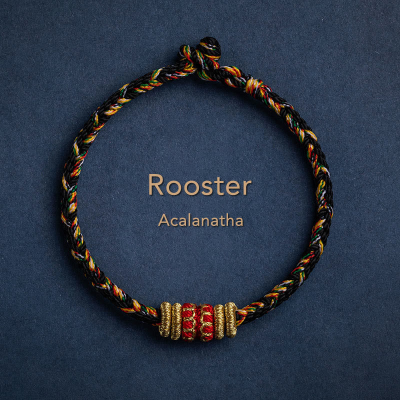 Wear FengShui Tibet Handmade Chinese Zodiac Natal Buddha Luck Strength Braided String Bracelet