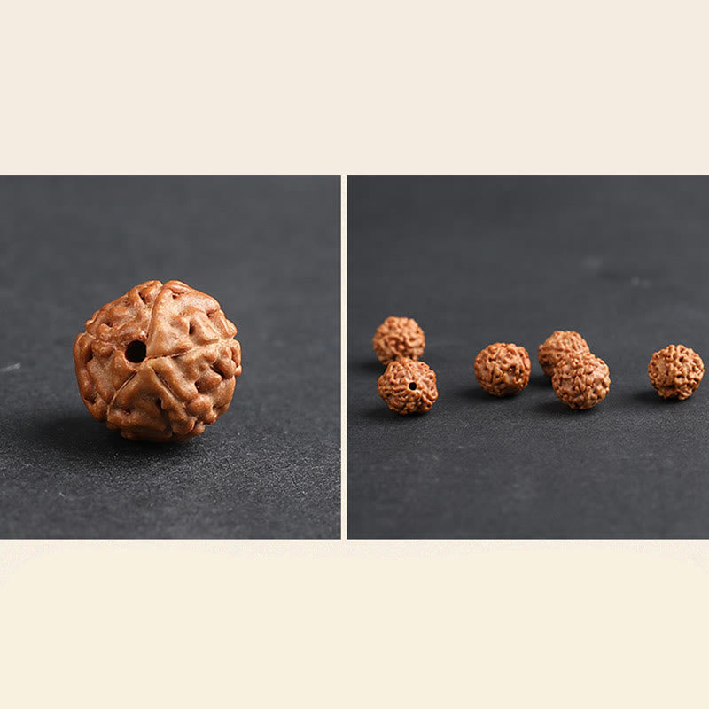 Wear FengShui Tibet Rudraksha Bodhi Seed PiXiu Copper Coin Wealth Luck Bracelet