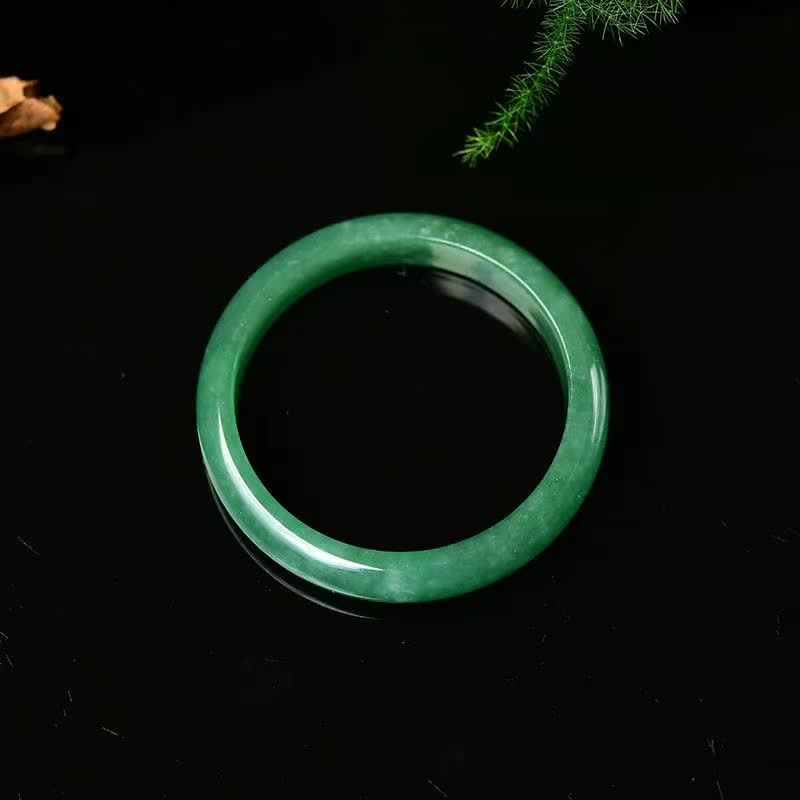 Wear FengShui Jade Healing Abundance Protection Bracelet Bangle