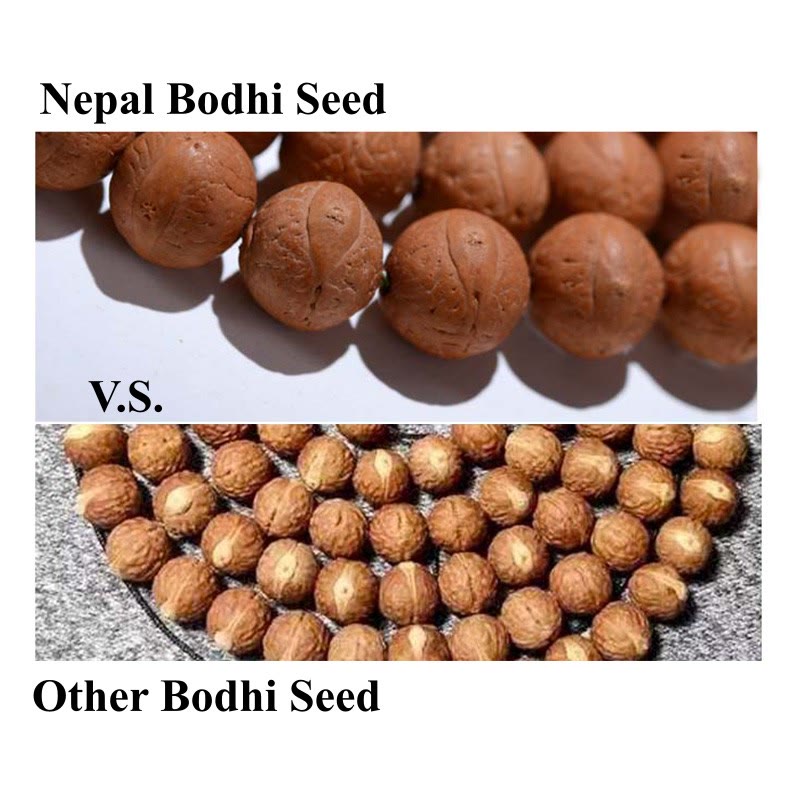 Wear FengShui 108 Mala Beads Nepal Bodhi Seed Luck Wealth Tassel Bracelet