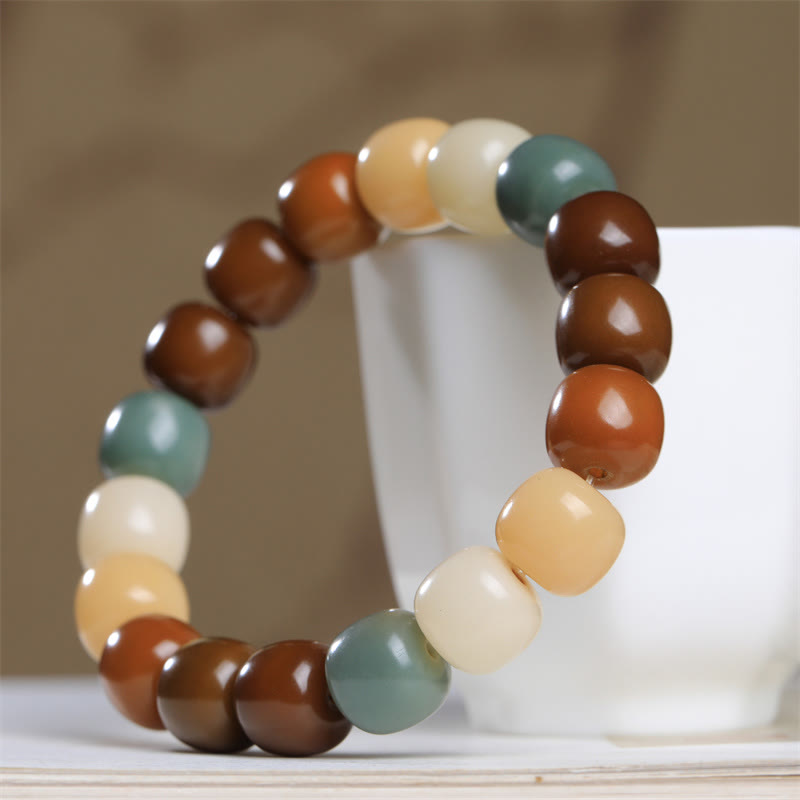 Wear FengShui Multicolored Bodhi Seed Keep Away Evil Spirits Bracelet