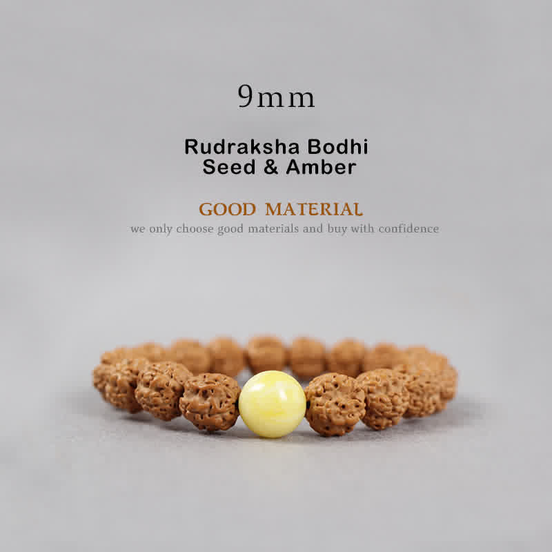 Wear FengShui Tibet Rudraksha Bodhi Seed Dzi Bead Amber Turquoise Wealth Bracelet