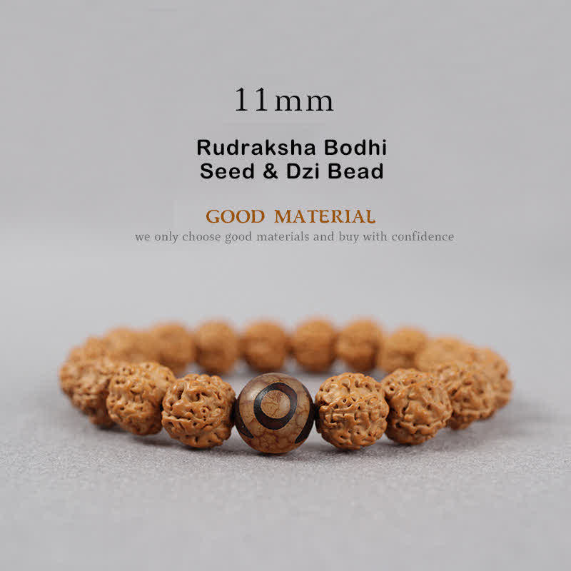 Wear FengShui Tibet Rudraksha Bodhi Seed Dzi Bead Amber Turquoise Wealth Bracelet