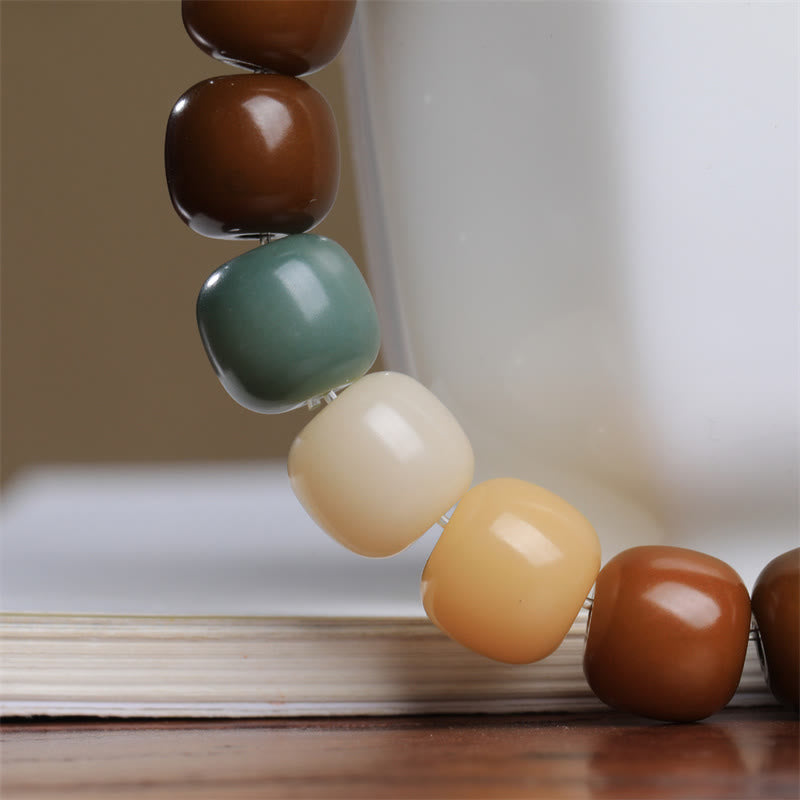 Wear FengShui Multicolored Bodhi Seed Keep Away Evil Spirits Bracelet