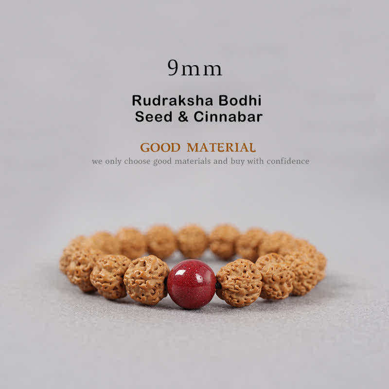 Wear FengShui Tibet Rudraksha Bodhi Seed Dzi Bead Amber Turquoise Wealth Bracelet