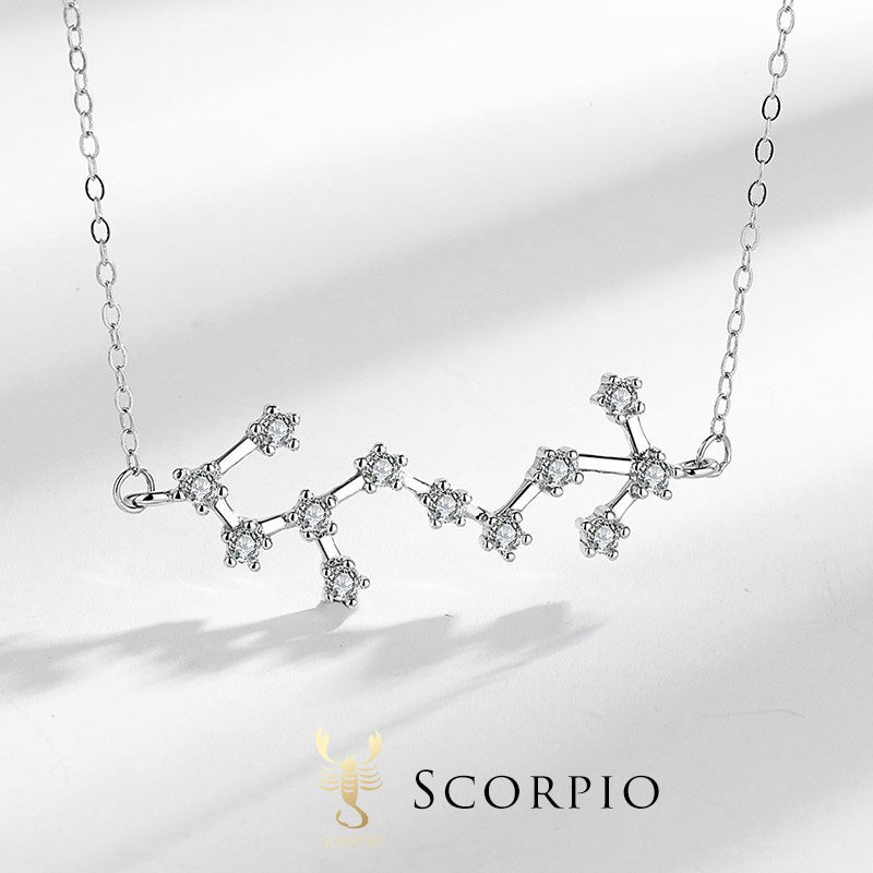 Wear FengShui 925 Sterling Silver 12 Constellations of the Zodiac Astrology Blessing Necklace Pendant