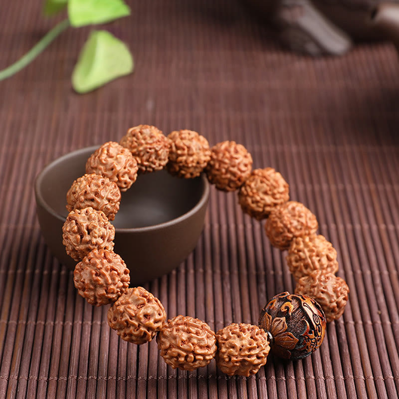 Wear FengShui Tibet Rudraksha Bodhi Seed PiXiu Copper Coin Wealth Luck Bracelet