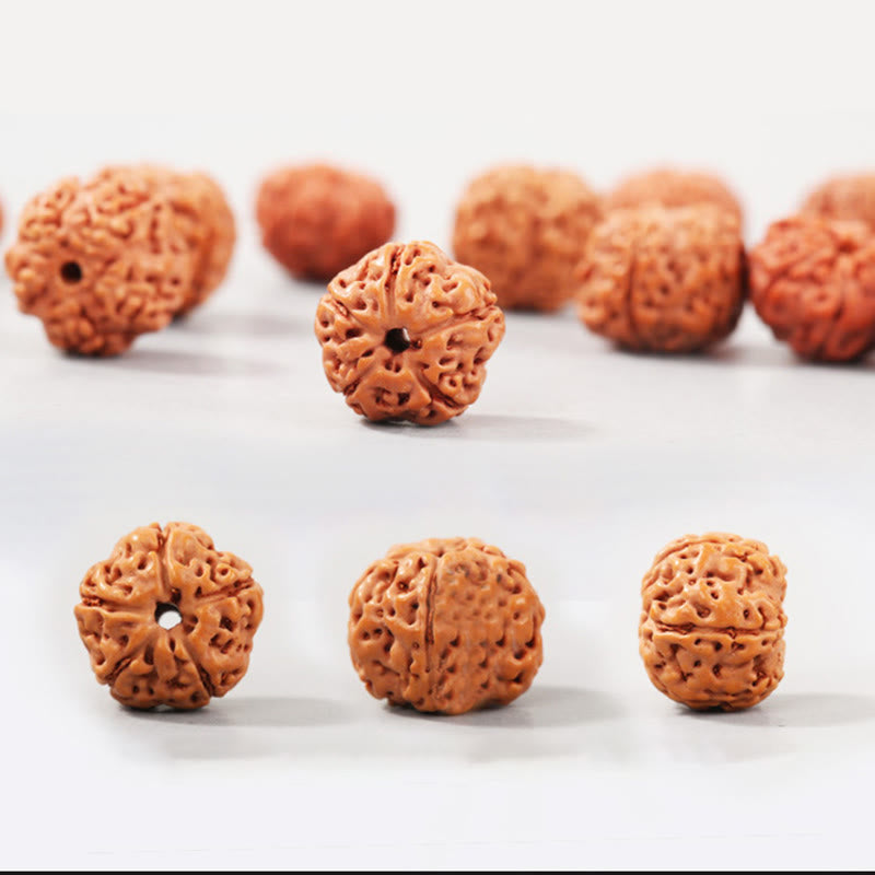 Wear FengShui Tibet Rudraksha Bodhi Seed Wealth Auspiciousness Bracelet