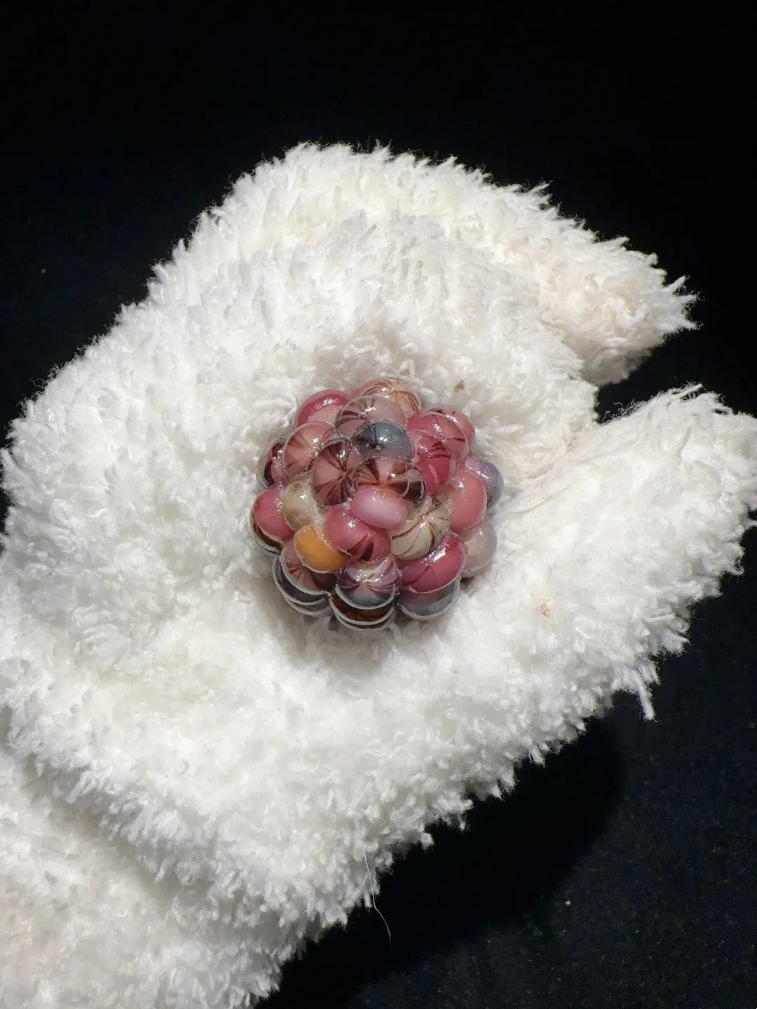 Colorful Bean & Black Vein Cracked Natural Corn Charms