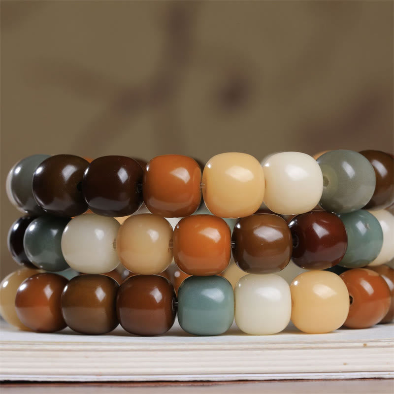Wear FengShui Multicolored Bodhi Seed Keep Away Evil Spirits Bracelet