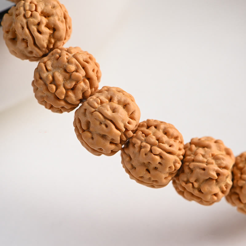 Wear FengShui Tibet Rudraksha Bodhi Seed Wealth Auspiciousness Bracelet