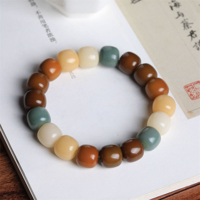 Wear FengShui Multicolored Bodhi Seed Keep Away Evil Spirits Bracelet