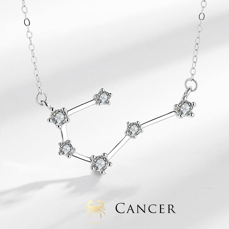 Wear FengShui 925 Sterling Silver 12 Constellations of the Zodiac Astrology Blessing Necklace Pendant