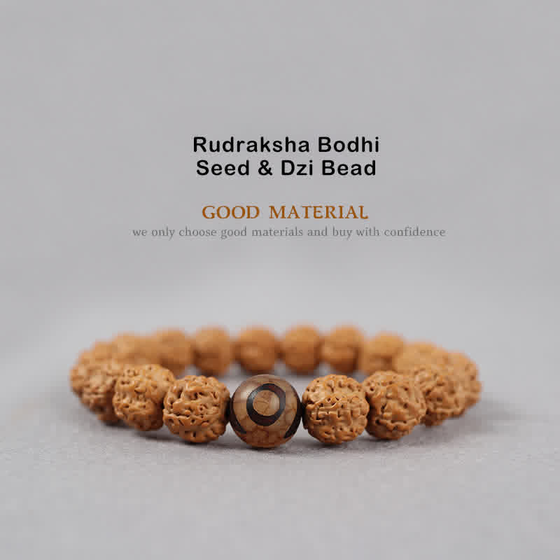 Wear FengShui Tibet Rudraksha Bodhi Seed Dzi Bead Amber Turquoise Wealth Bracelet