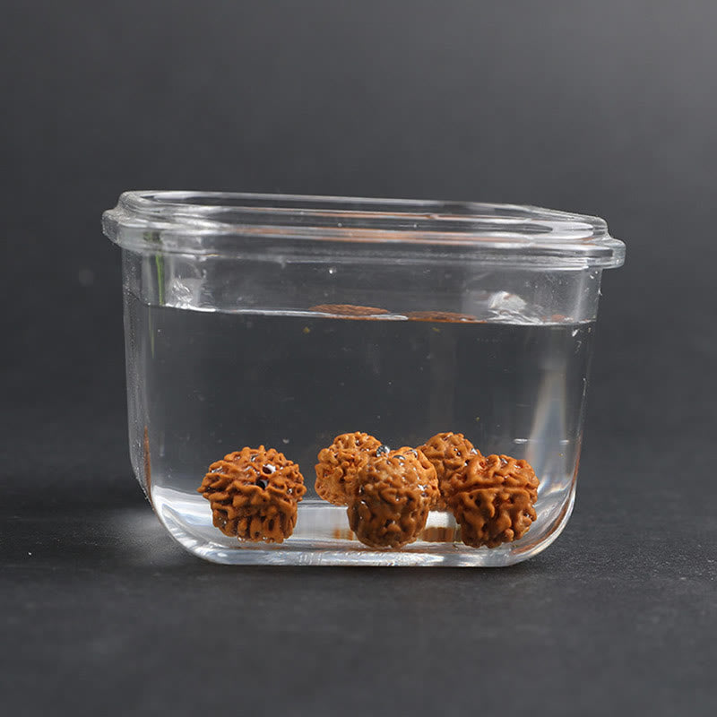 Wear FengShui Tibet Rudraksha Bodhi Seed PiXiu Copper Coin Wealth Luck Bracelet