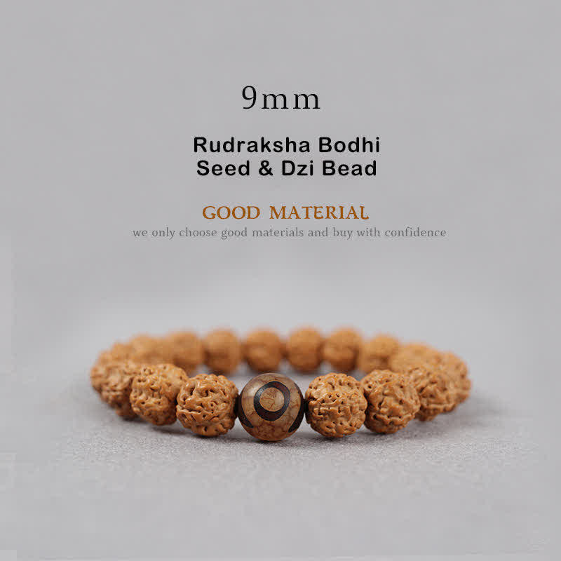 Wear FengShui Tibet Rudraksha Bodhi Seed Dzi Bead Amber Turquoise Wealth Bracelet