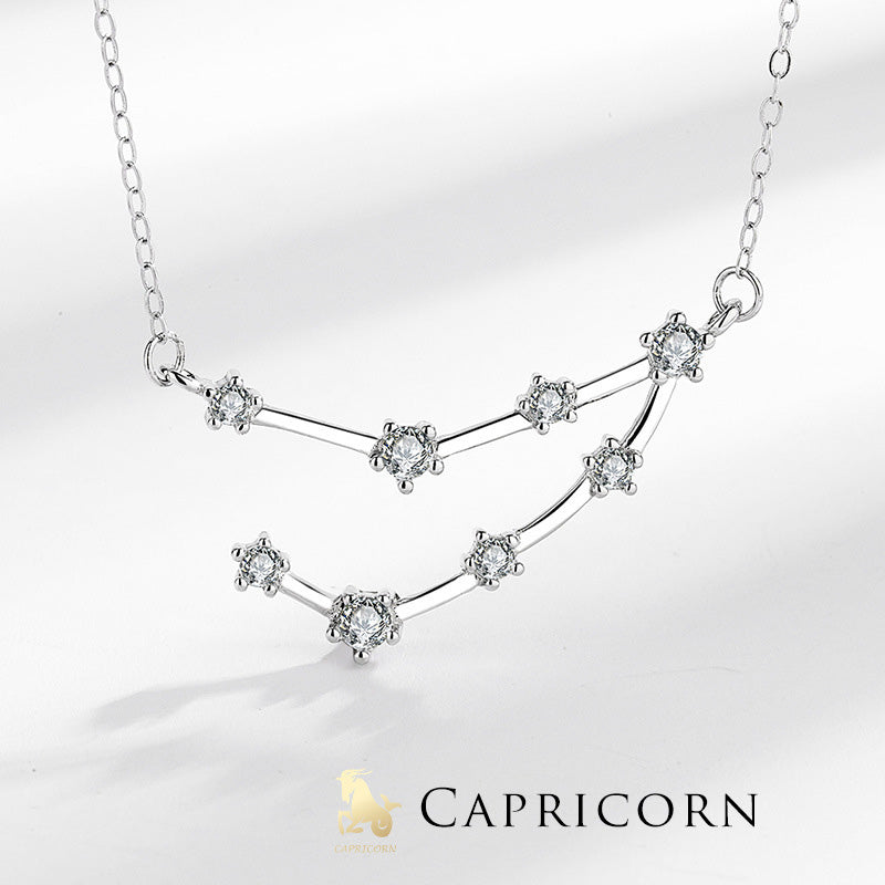 Wear FengShui 925 Sterling Silver 12 Constellations of the Zodiac Astrology Blessing Necklace Pendant